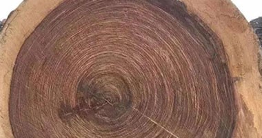 為什么說實(shí)木家具的色差是不可避免的？
