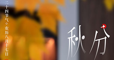 秋分節氣 童話森林家具